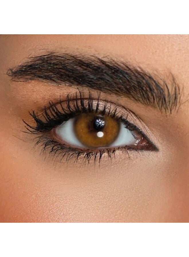 Desio Attitude deep brown contact lenses ( 5 Pairs ) - Image 1